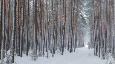Фото нашего гида Михаила Верёвченко
