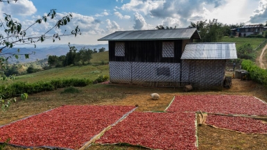 Фото Александра Рыбакова