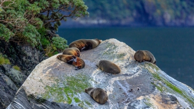 Фото: Murray Foubister, visualhunt.com