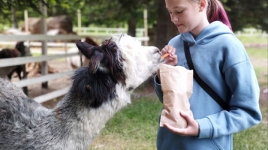 Фото наших Странников