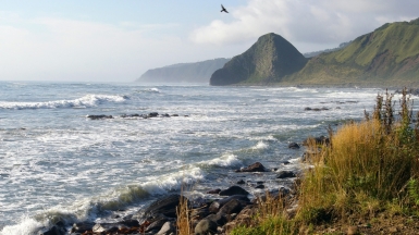 Фото: depositphotos.com