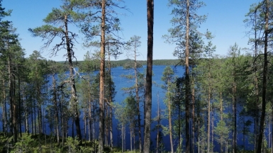 Фото наших Странников