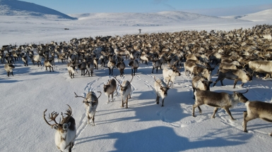 Фото из архива Клуба