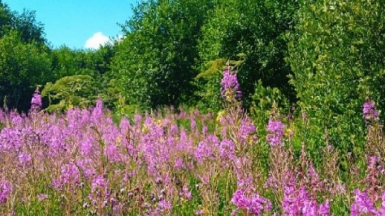 Фото нашего гида Александра Чудновского