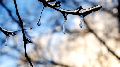 Фото: Sarah B, unsplash.com