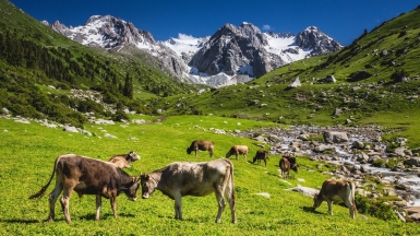 Фото: Самарин Михаил