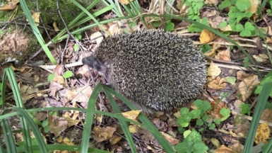 Фото наших Странников