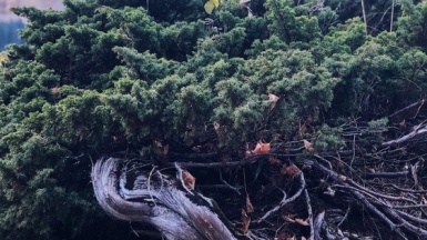 Фото из личного архива Клуба