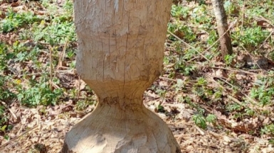 Фото нашего гида Галины Чудновской