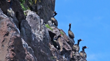 Фото из архива Клуба