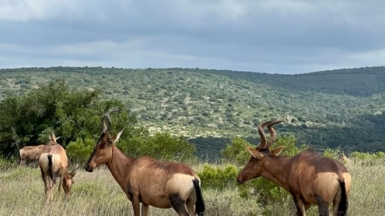 Фото: наш гид Алексей Шорец