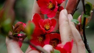 Фото: mikhail vasilyev on unsplash