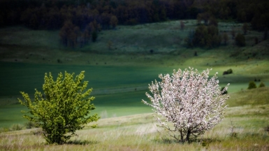 Фото нашего гида Михаила Верёвченко