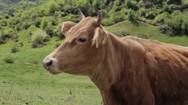 Фото наших Странников