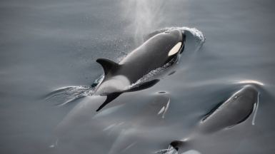 Фото: Nitesh Jain, unsplash.com