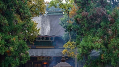 Фото: ün LIU, unsplash.com