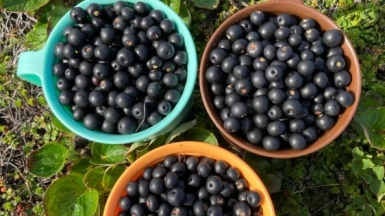 Фото нашей Странницы Виктории Бариновой