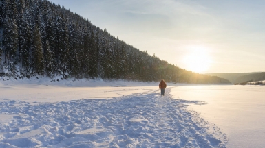 Фото: Aleksei Zaitcev, unsplash.com