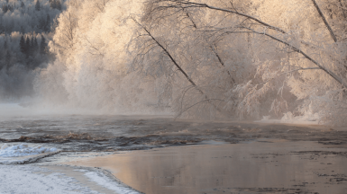 Фото из архива Клуба