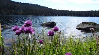 Фото нашей Странницы Веры Елькиной