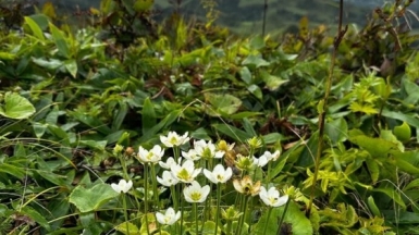 Фото наших Странников