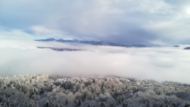 Фото нашего гида Елены Кузура