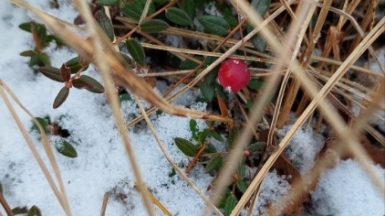 Фото нашего гида Галины Чудновской