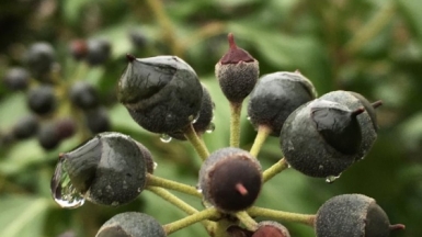 Фото наших Странников