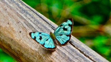 Источник фото: marissa_strniste on VisualHunt