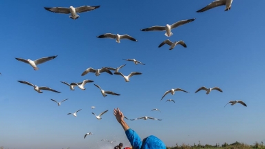 Фото Александра Рыбакова