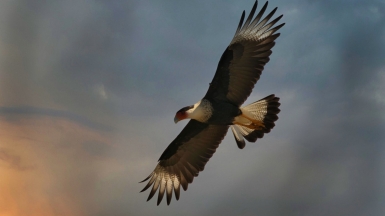 Фото: Norbert Hentges, unsplash.com