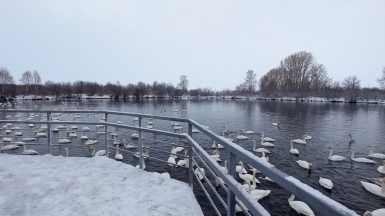 Фото из архива Клуба