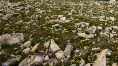 Фото нашего гида Михаила Верёвченко