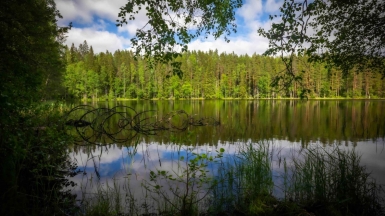 Фото нашего гида Михаила Верёвченко
