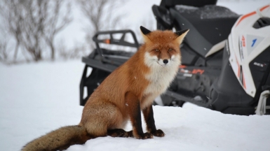 Фото из архива Клуба