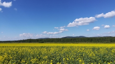 Фото наших Странников