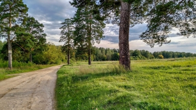 Фото: Ars Buchatski, unsplash