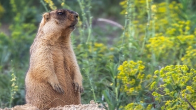 Фото нашего гида Михаила Верёвченко