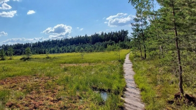 Фото нашего гида Александра Чудновского