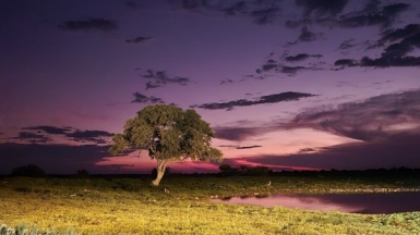 Этоша на закате. Фото: наш гид Алексей Шорец