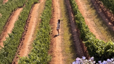 Фото: гид Алексей Шорец