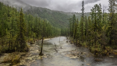 Фото нашего гида Михаила Верёвченко