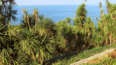 Фото нашего гида Ирины Пряничниковой