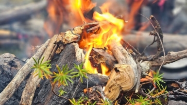 Фото нашей Странницы Анны Лазаренко