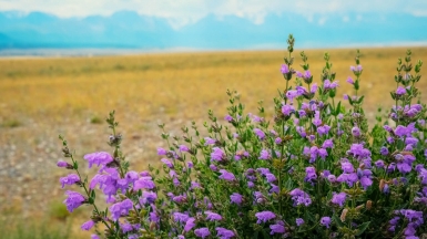 Фото нашей Странницы Марины Шумаковой