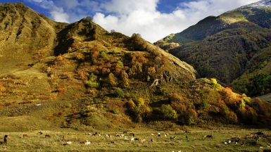 vampa_ on VisualHunt.com