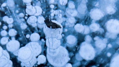 Фото нашей Странницы Александры Марченко