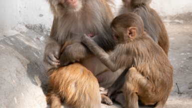 Фото: Eirik Soldal, unsplash.com