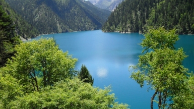 Фото: Zhixuan Zhu on pexels