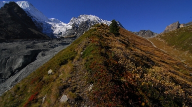 Автор: Vik-tor. Источник:  pixabay.com